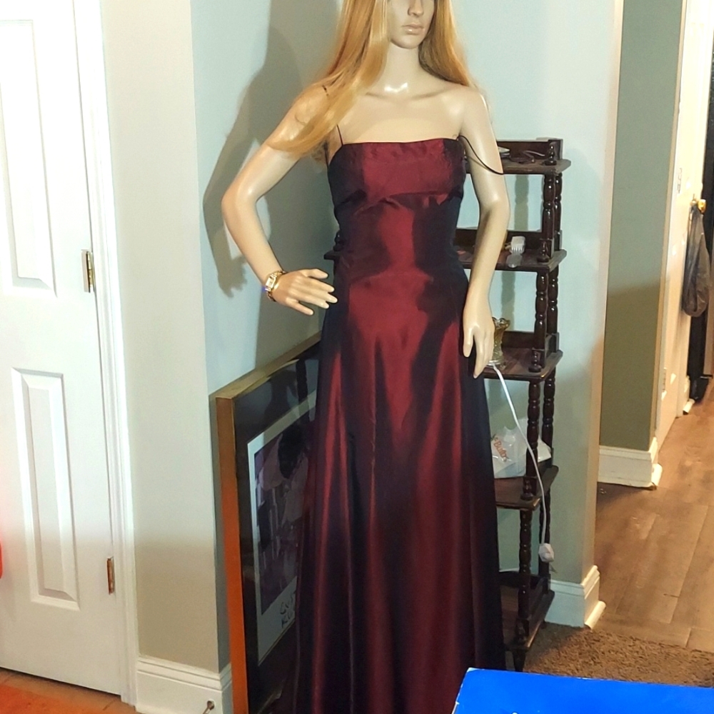 Cach`e Tantalizing maxi Dress